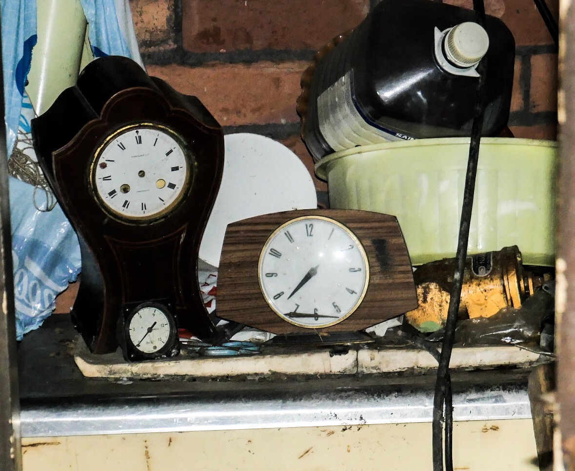 2019-07-24 080128-353102.jpg