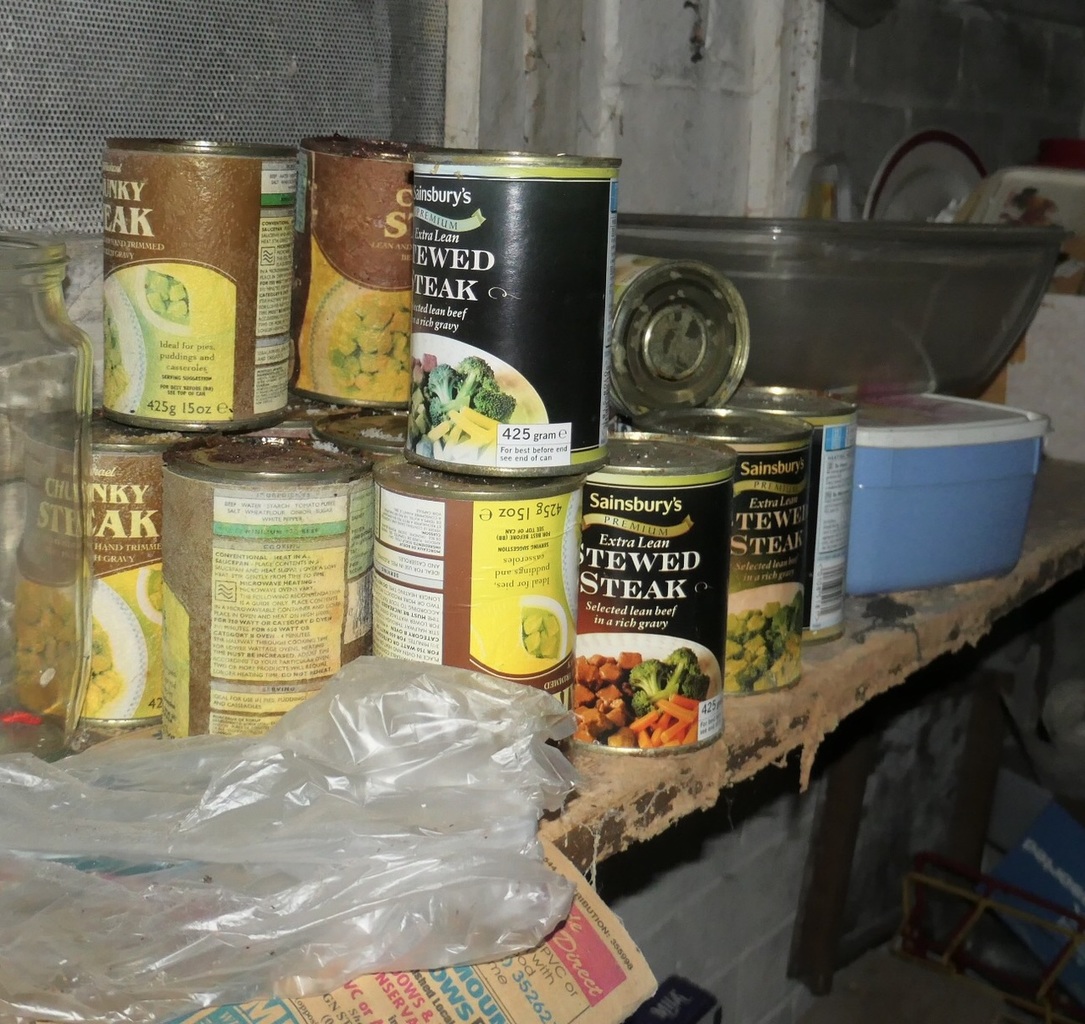 2019-07-24 080129-432720.jpg