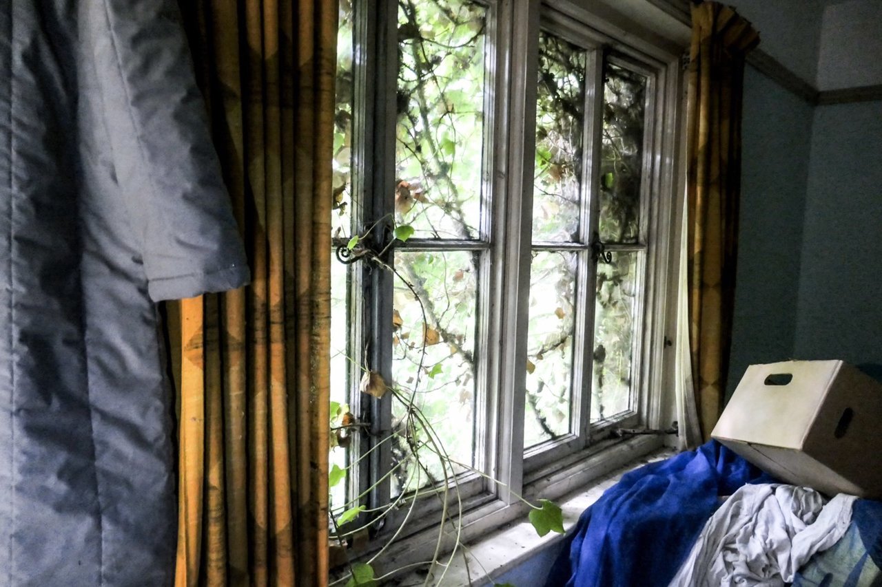 2019-07-24 080147-790275.jpg