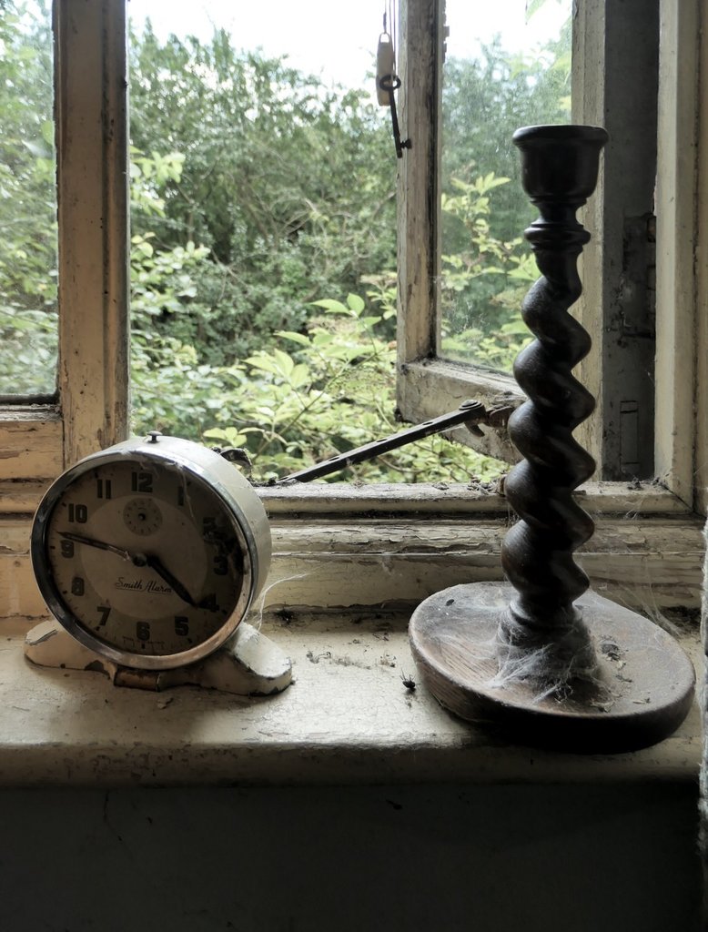 2019-07-24 080203-986736.jpg