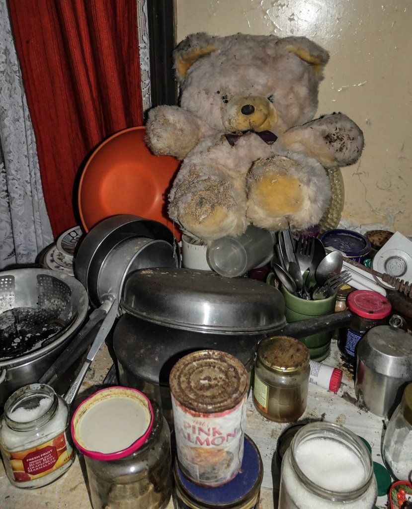 2019-07-24 080207-1115409.jpg