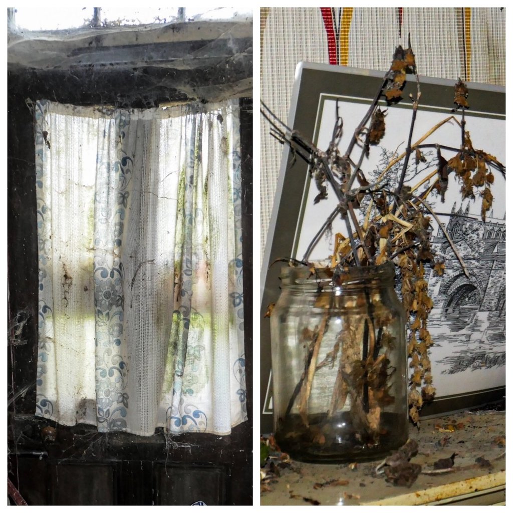 2019-07-24 080215-2142212.jpg