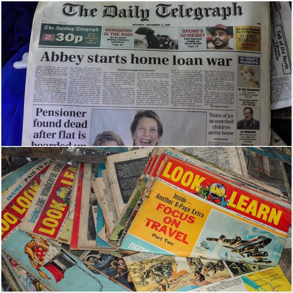 2019-07-24 081909-1429397.jpeg