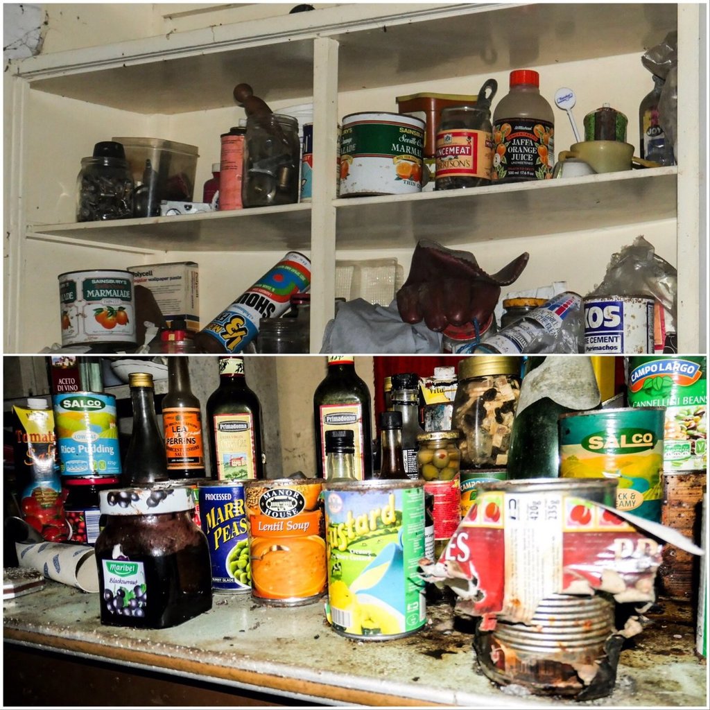 2019-07-24 082542-1169695.jpeg