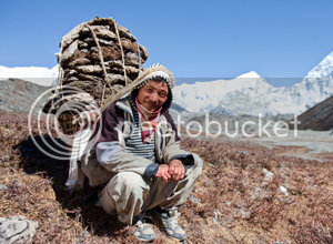 sherpa-porter_zps9a545d6c.png