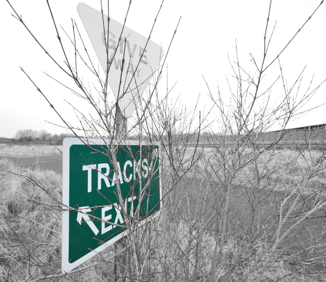 TracksGiveWayToNaturecopyPSCS.jpg