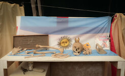 reduced for OS.jpg2.jpg