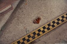 199 (Kopiowanie).jpg