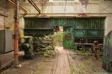 262 (Kopiowanie).jpg