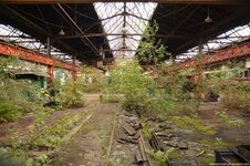 318 (Kopiowanie).jpg