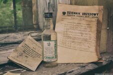 461 (Kopiowanie).JPG