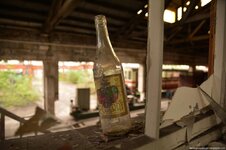 484 (Kopiowanie).jpg