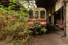 507 (Kopiowanie).jpg