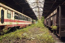 795 (Kopiowanie).jpg