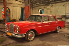 DSC_3166 (Kopiowanie).JPG