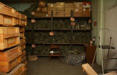 DSC_9152 (Kopiowanie).jpg