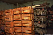 DSC_9150 (Kopiowanie).jpg