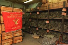 DSC_3737 (Kopiowanie).jpg