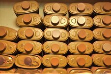 DSC_3631 (Kopiowanie).jpg