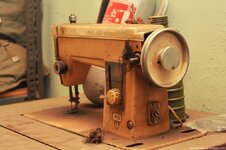 DSC_3496 (Kopiowanie).jpg