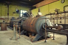 DSC_8804 (Kopiowanie).jpg