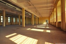 DSC_8954 (Kopiowanie).jpg