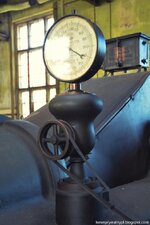 DSC_8783 (Kopiowanie).jpg