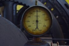 DSC_8659 (Kopiowanie).jpg