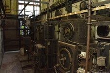 DSC_8586 (Kopiowanie).jpg