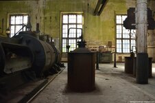 DSC_8631 (Kopiowanie).jpg