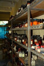 DSC_2519 (Kopiowanie).jpg