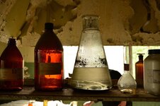 DSC_2561 (Kopiowanie).jpg