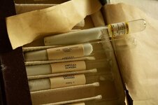 DSC_2605 (Kopiowanie).jpg