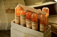 DSC_2608 (Kopiowanie).jpg