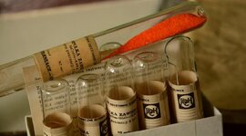 DSC_2668 (Kopiowanie).jpg