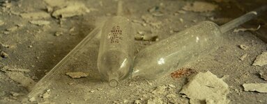 DSC_2356 (Kopiowanie).jpg