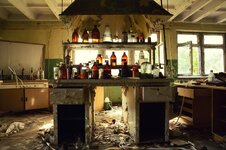 DSC_2431 (Kopiowanie).jpg