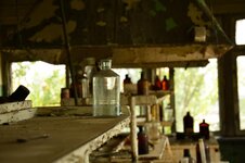 DSC_2479 (Kopiowanie).jpg