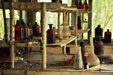 DSC_2484 (Kopiowanie).jpg