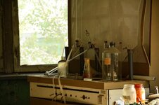 DSC_2486 (Kopiowanie).jpg