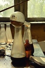 DSC_2497 (Kopiowanie).jpg