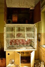 DSC_2502 (Kopiowanie).jpg