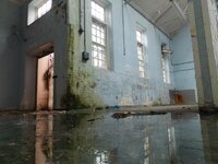 severalls2march14 656.jpg