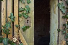 DSC_4533 (Kopiowanie).jpg