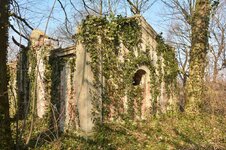 DSC_4580 (Kopiowanie).jpg