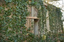 DSC_4616 (Kopiowanie).jpg