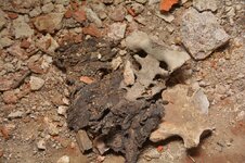 DSC_4419 (Kopiowanie).jpg