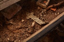 DSC_4431 (Kopiowanie).jpg