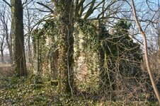 DSC_4459 (Kopiowanie).jpg