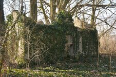 DSC_4521 (Kopiowanie).jpg